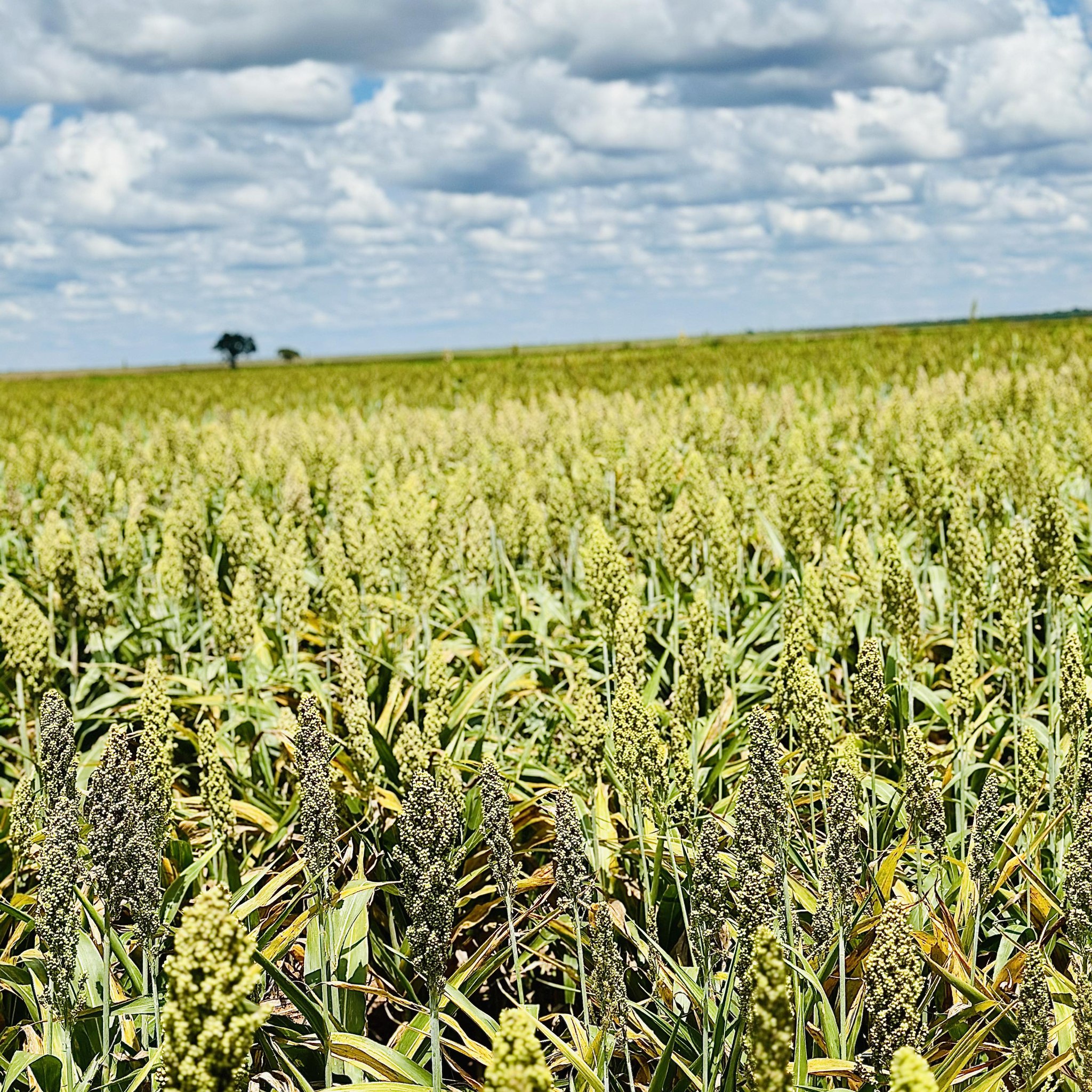 Agro-Ecological Mapping